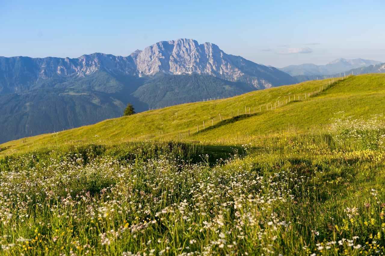 Hotel Sattleggers Alpenhof & Feriensternwarte Greifenburg Zewnętrze zdjęcie