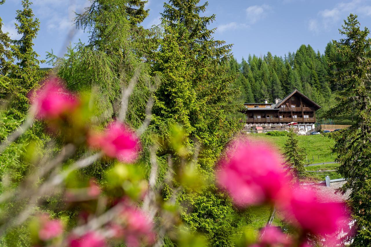 Hotel Sattleggers Alpenhof & Feriensternwarte Greifenburg Zewnętrze zdjęcie