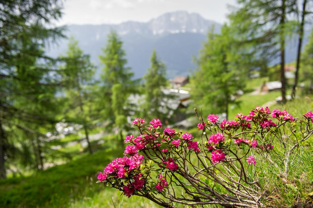 Hotel Sattleggers Alpenhof & Feriensternwarte Greifenburg Zewnętrze zdjęcie