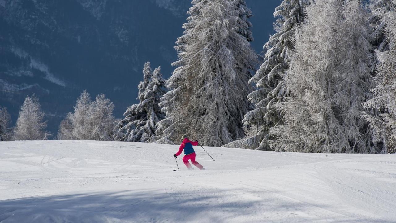 Hotel Sattleggers Alpenhof & Feriensternwarte Greifenburg Zewnętrze zdjęcie